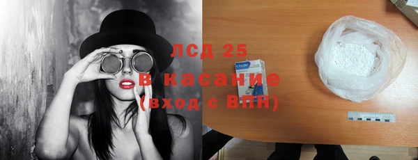 мяу мяу мука Аркадак