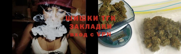ГАЛЛЮЦИНОГЕННЫЕ ГРИБЫ Арсеньев