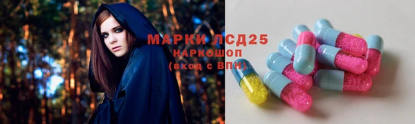 гашик Алексин