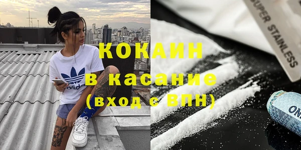 дживик Богородицк