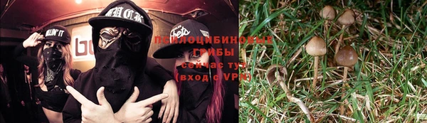 мяу мяу мука Аркадак