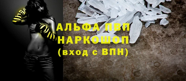 трава Новозыбков