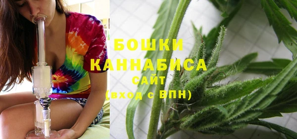 трава Новозыбков