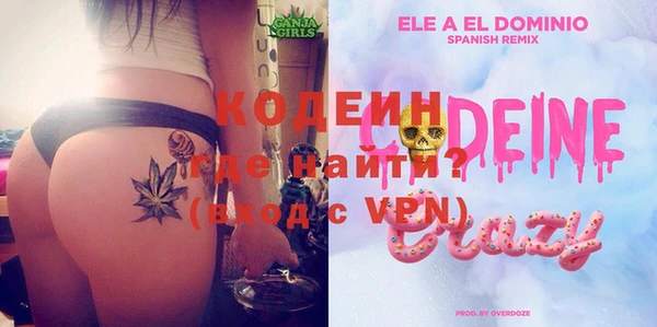 ГАЛЛЮЦИНОГЕННЫЕ ГРИБЫ Арсеньев